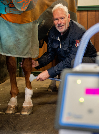 Paardenrevalidatie de Maurikhoeve