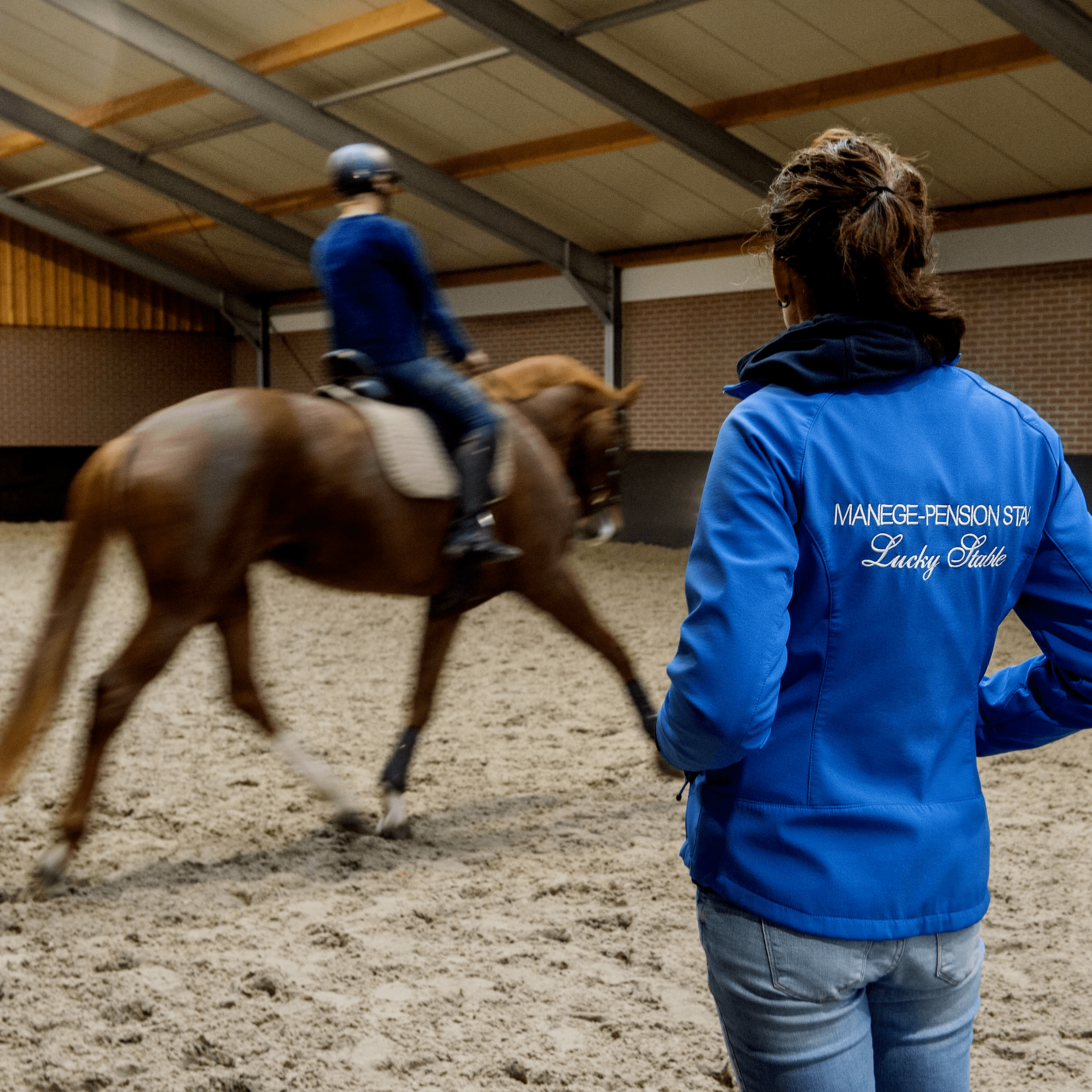 Lucky Stable Healthy Horses